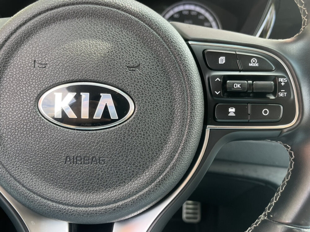 Kia Niro 1.6 GDi PHEV DynamicPlusLine // NAVI // FULL LED // CAMERA // PDC