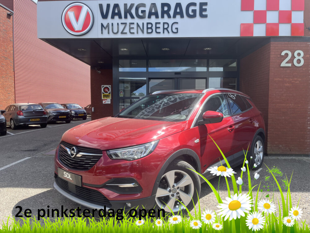 Opel Grandland X