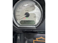Harley-Davidson Array