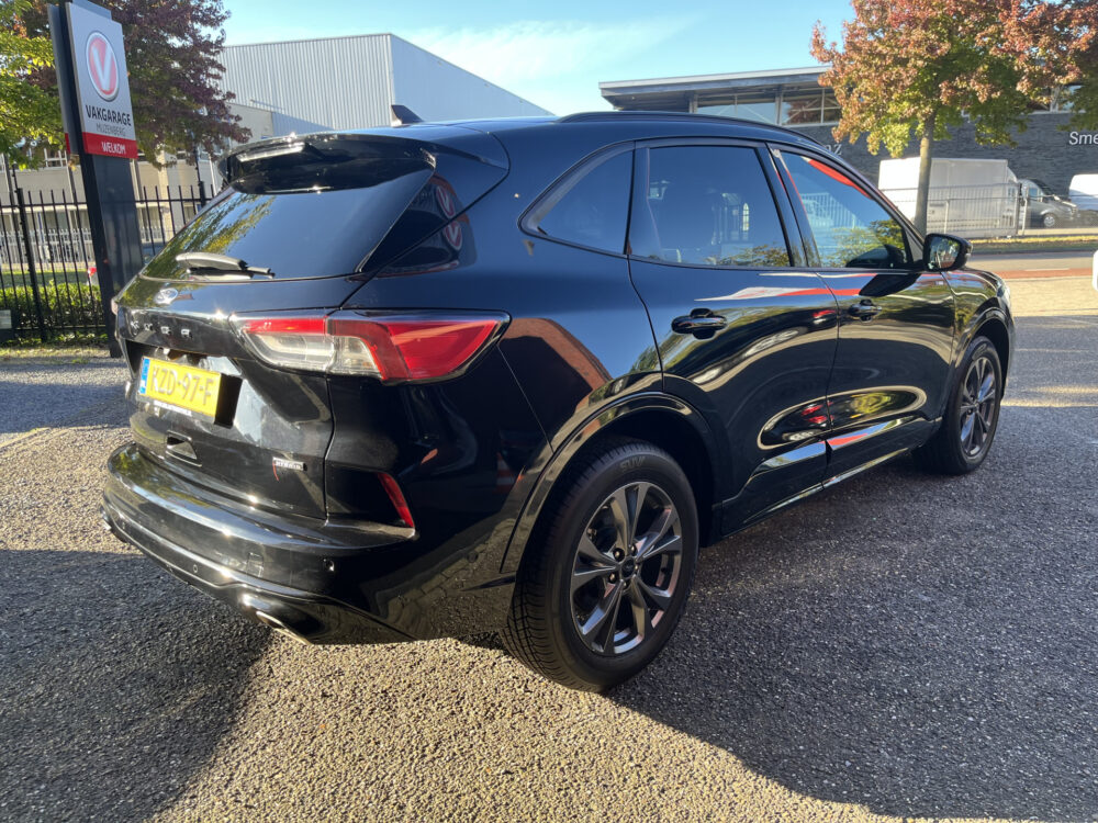 55502915-ford-kuga-2022